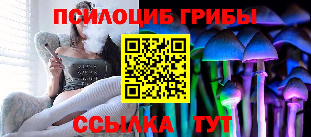где найти наркотики  Галлюциногенные грибы Cubensis  Вход с VPN  Псилоцибиновые грибы Cubensis  Отрадное 